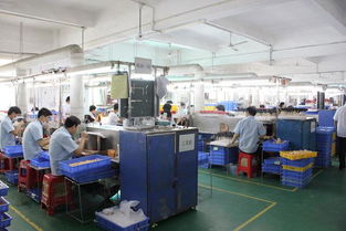 加工廠的發展歷史與技術開發