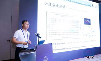 技術產品開發與生產過程中的風噪控制技術咨詢